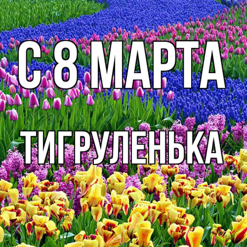 Картинка C 8 МАРТА, Тигpуленька