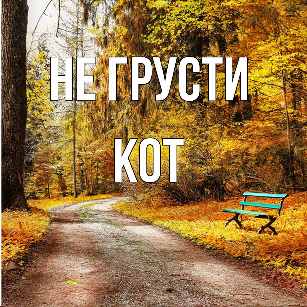 Открытка на каждый день с именем, Кот Не грусти зеленая лавочка Прикольная открытка с пожеланием онлайн скачать бесплатно 