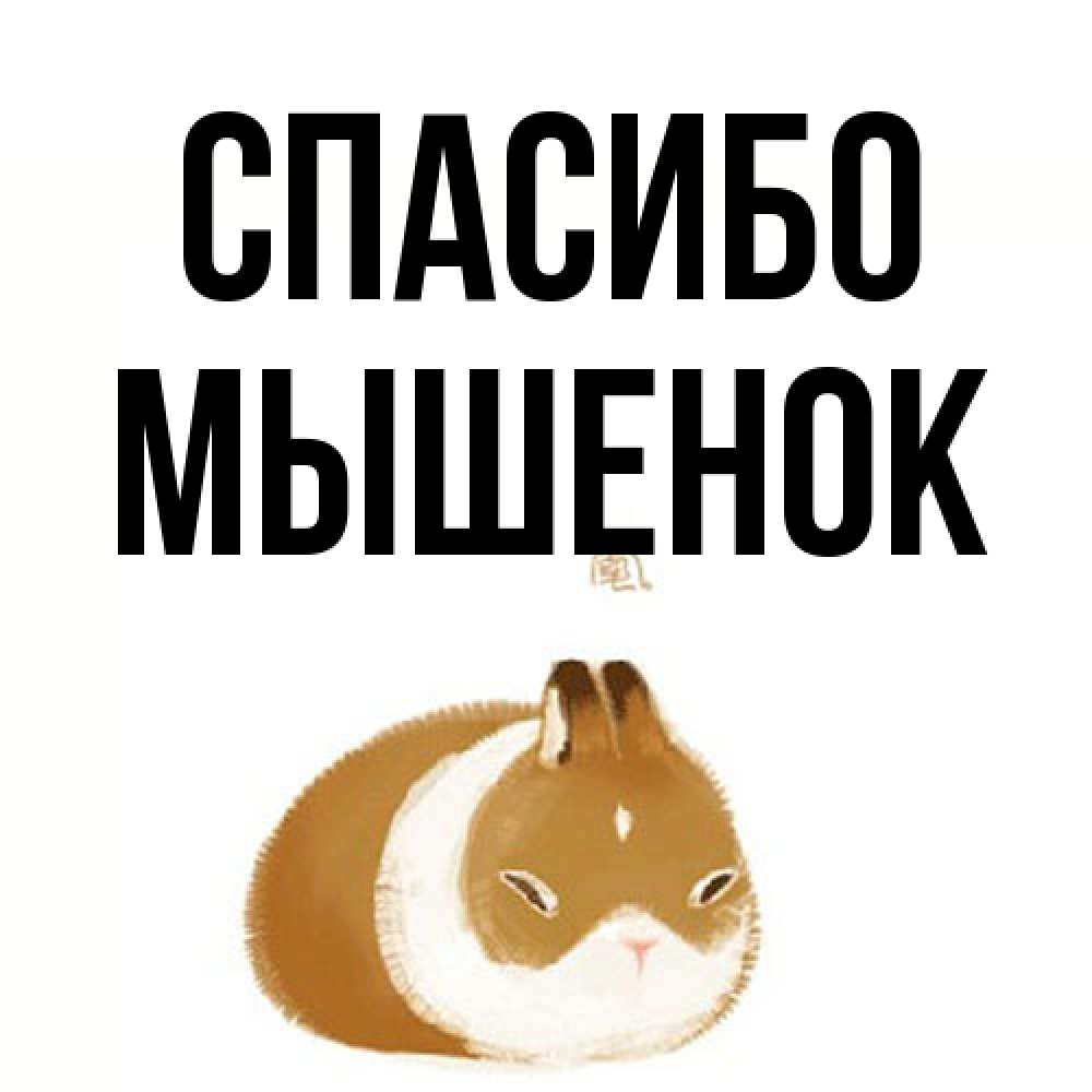 Открытка на каждый день с именем, Мышенок Спасибо коричнево белый домашний питомец Прикольная открытка с пожеланием онлайн скачать бесплатно 