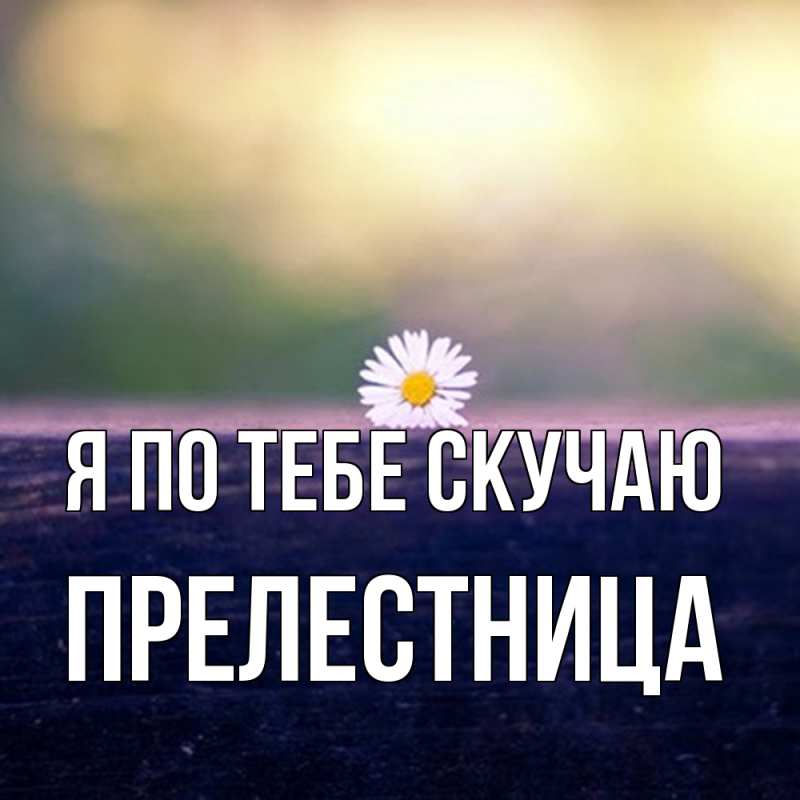 Картинка Я по тебе скучаю, пpелестница