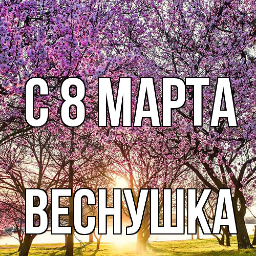 Открытка на каждый день с именем, веснушка C 8 МАРТА международный женский день Прикольная открытка с пожеланием онлайн скачать бесплатно 