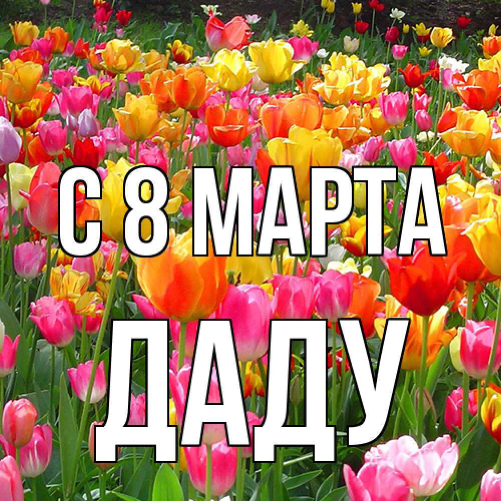 Открытка на каждый день с именем, Даду C 8 МАРТА на международный женский день Прикольная открытка с пожеланием онлайн скачать бесплатно 