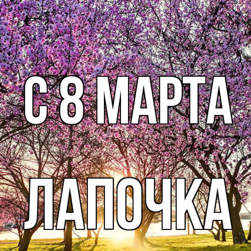 Открытка на каждый день с именем, лапочка C 8 МАРТА международный женский день Прикольная открытка с пожеланием онлайн скачать бесплатно 