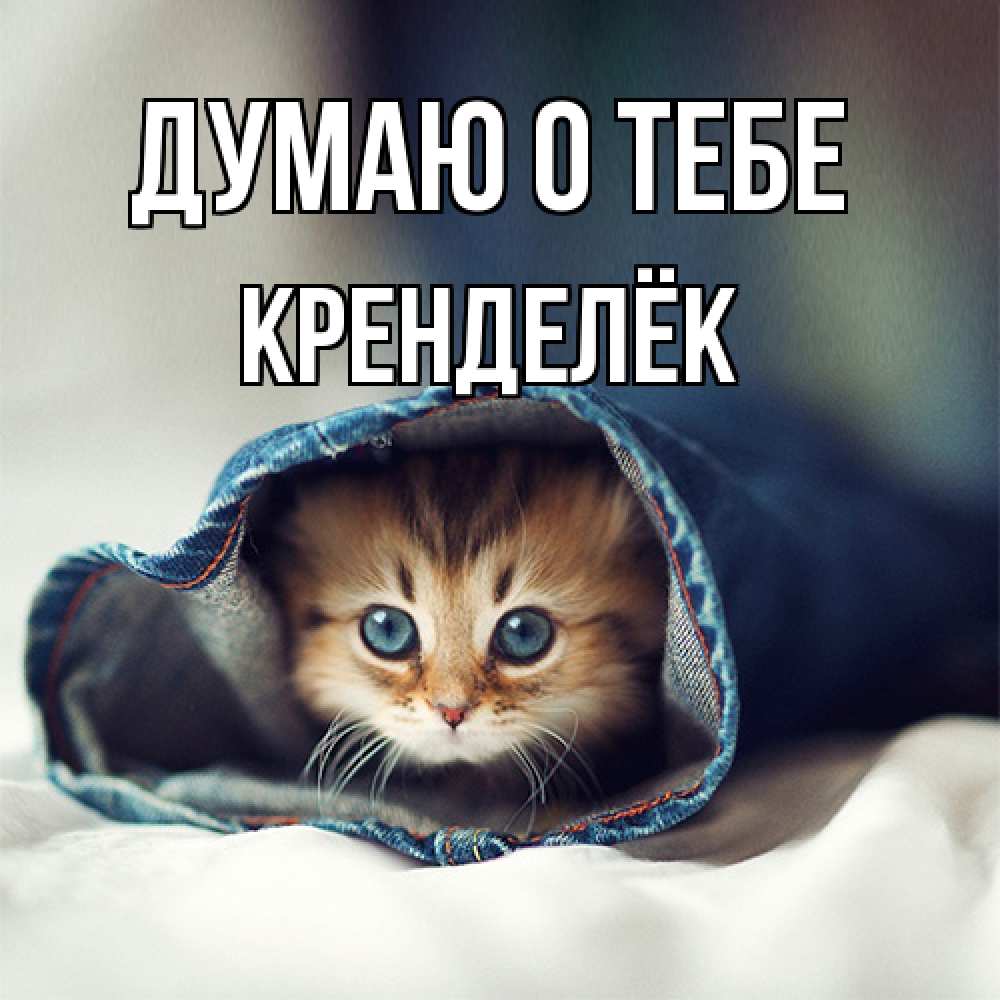 Открытка на каждый день с именем, Кренделёк Думаю о тебе мне без тебя плохо Прикольная открытка с пожеланием онлайн скачать бесплатно 