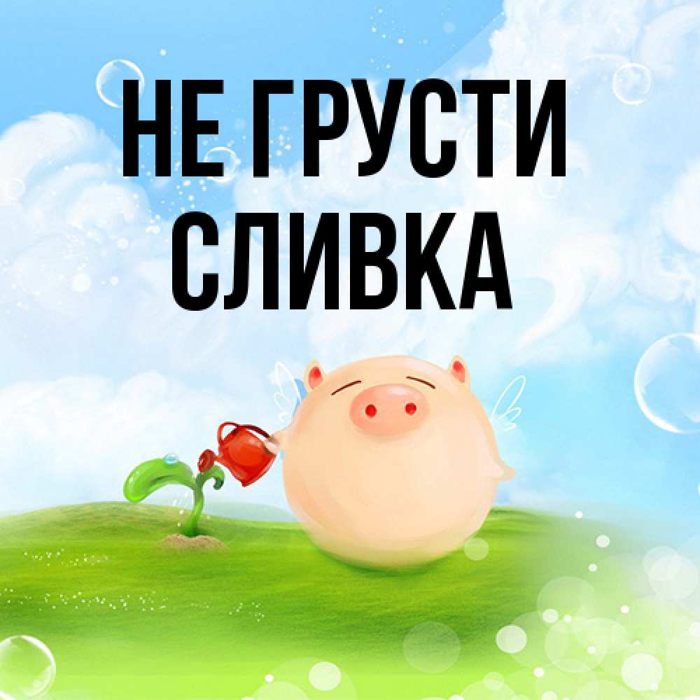 Открытка на каждый день с именем, Сливка Не грусти поливает цветок порося Прикольная открытка с пожеланием онлайн скачать бесплатно 