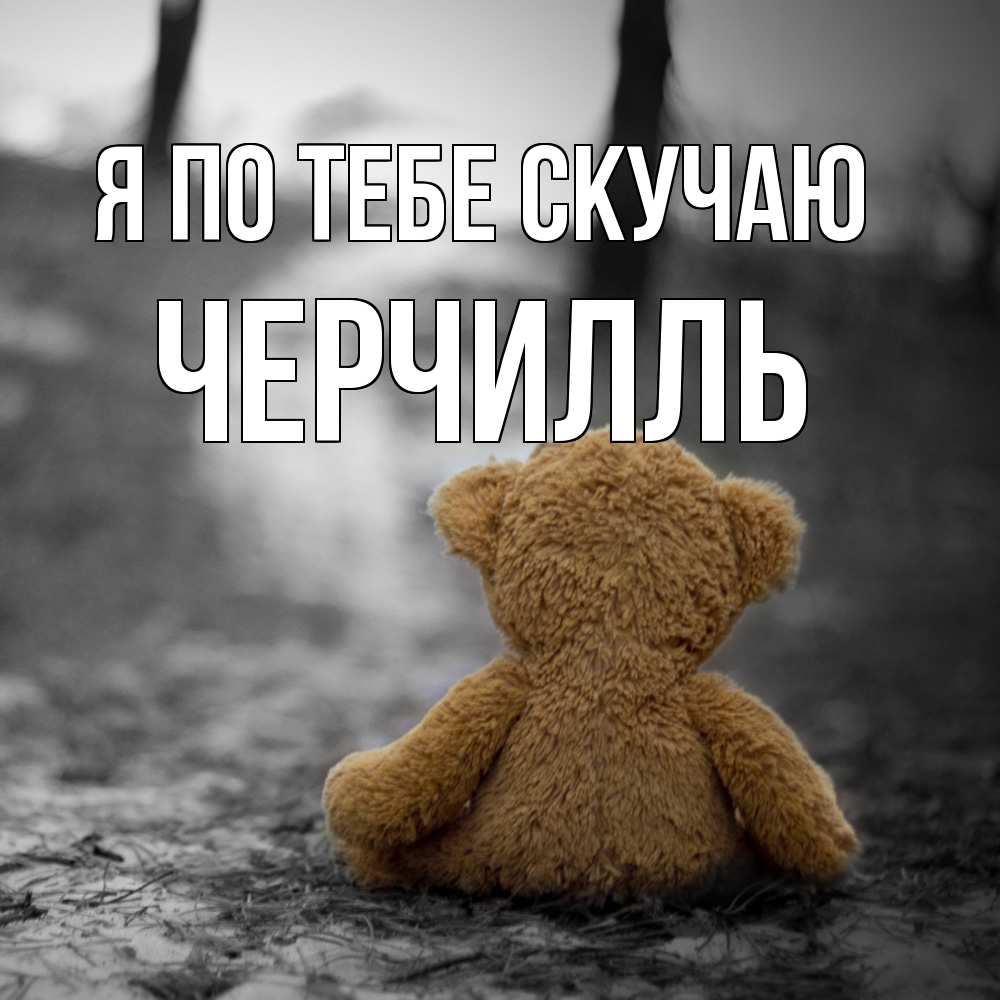 Открытка на каждый день с именем, Черчилль Я по тебе скучаю красивые открытки Прикольная открытка с пожеланием онлайн скачать бесплатно 