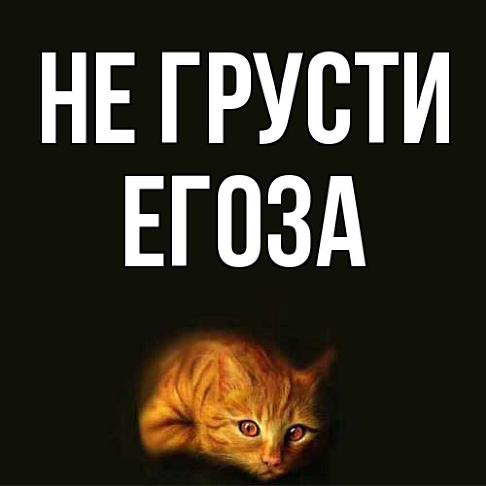 Открытка на каждый день с именем, егоза Не грусти лежащий кот в темноте Прикольная открытка с пожеланием онлайн скачать бесплатно 