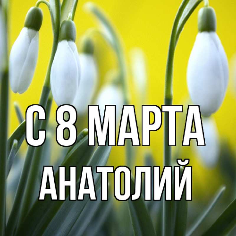Картинка C 8 МАРТА, Анатолий