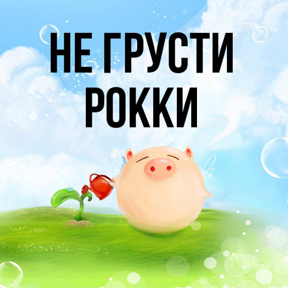 Открытка на каждый день с именем, Рокки Не грусти поливает цветок порося Прикольная открытка с пожеланием онлайн скачать бесплатно 