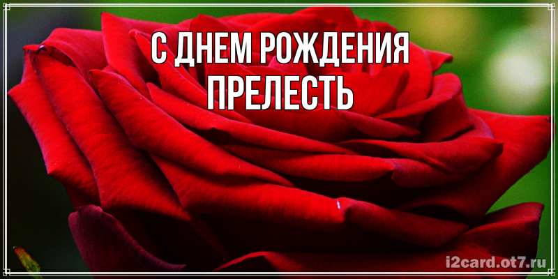 Картинка С днем рождения, прелесть