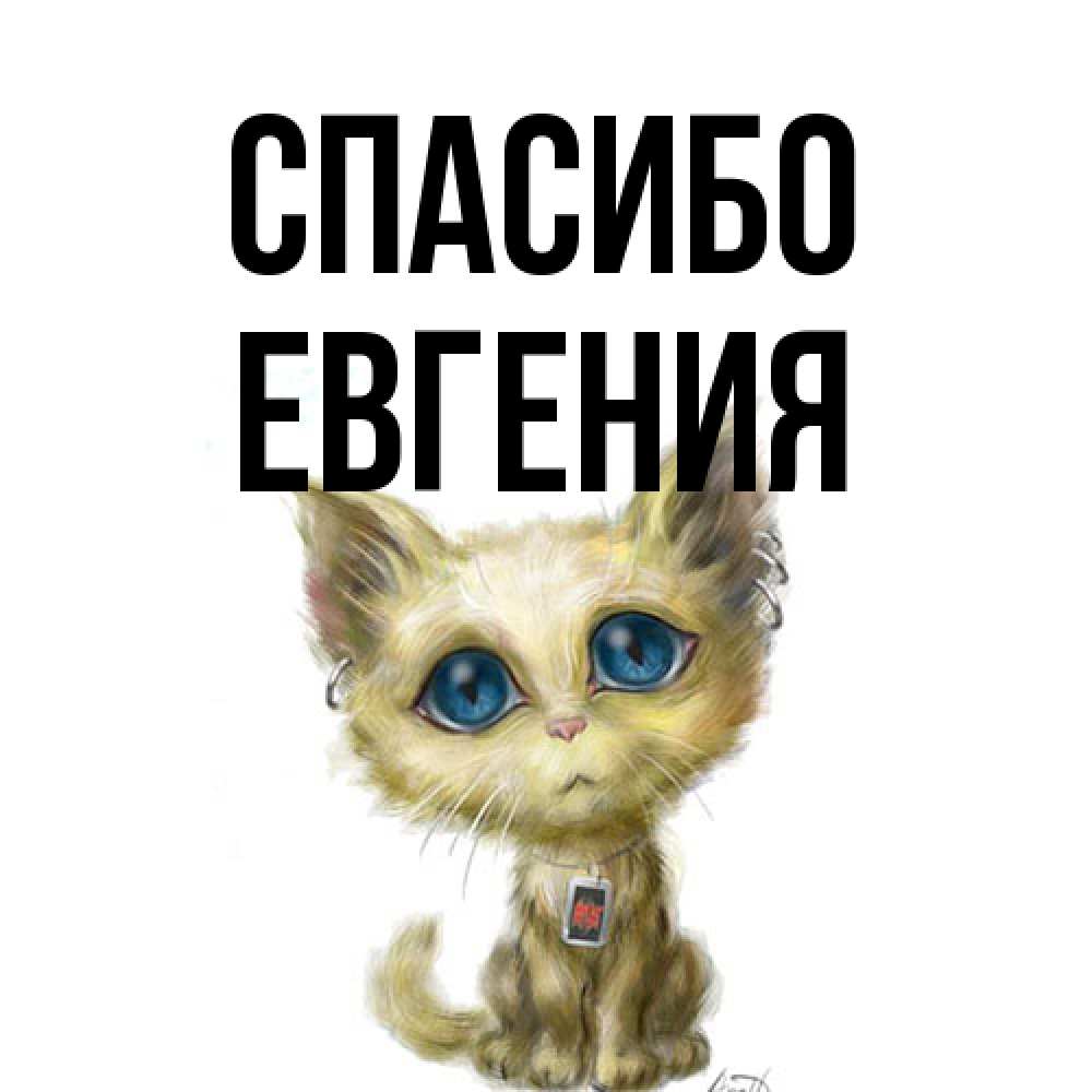 Открытка на каждый день с именем, Евгения Спасибо рисованный кот благодарит вас Прикольная открытка с пожеланием онлайн скачать бесплатно 