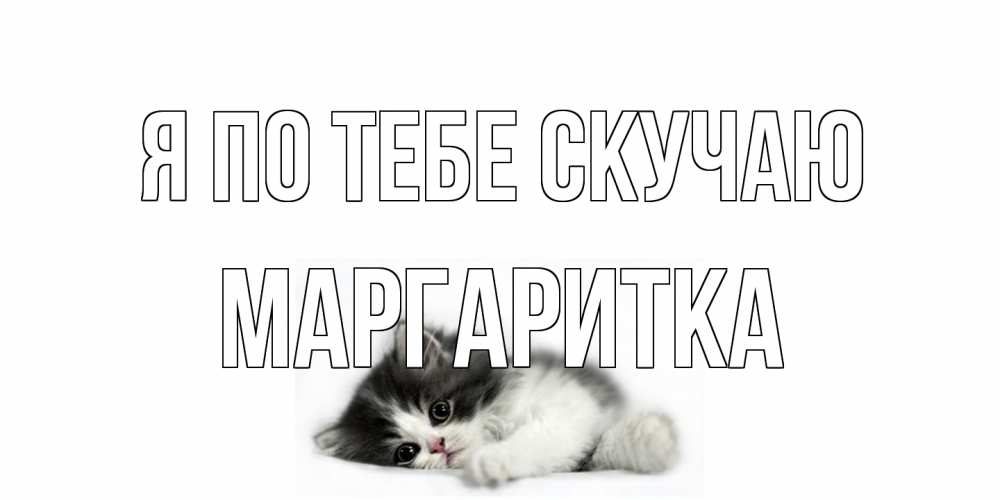 Открытка на каждый день с именем, Маргаритка Я по тебе скучаю кот, скука Прикольная открытка с пожеланием онлайн скачать бесплатно 