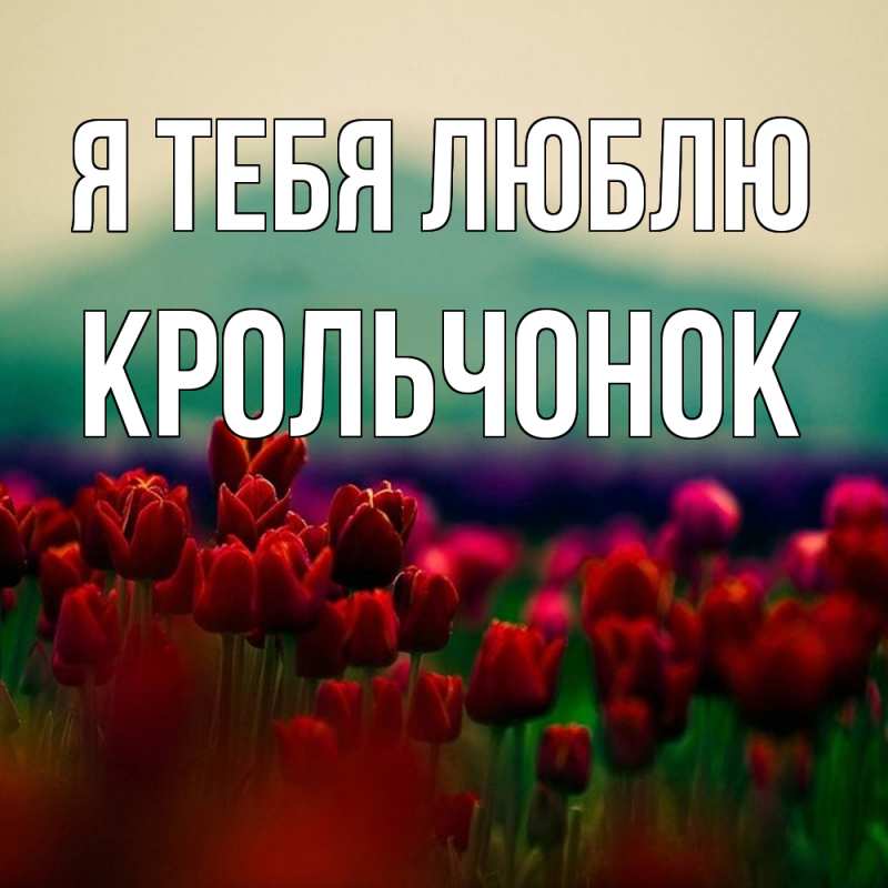 Картинка Я тебя люблю, Крольчонок