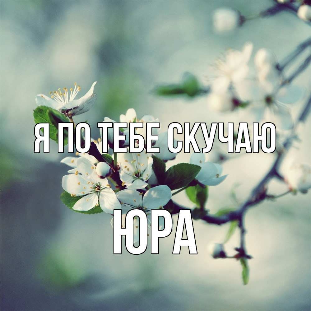 Открытка на каждый день с именем, Юра Я по тебе скучаю весна Прикольная открытка с пожеланием онлайн скачать бесплатно 
