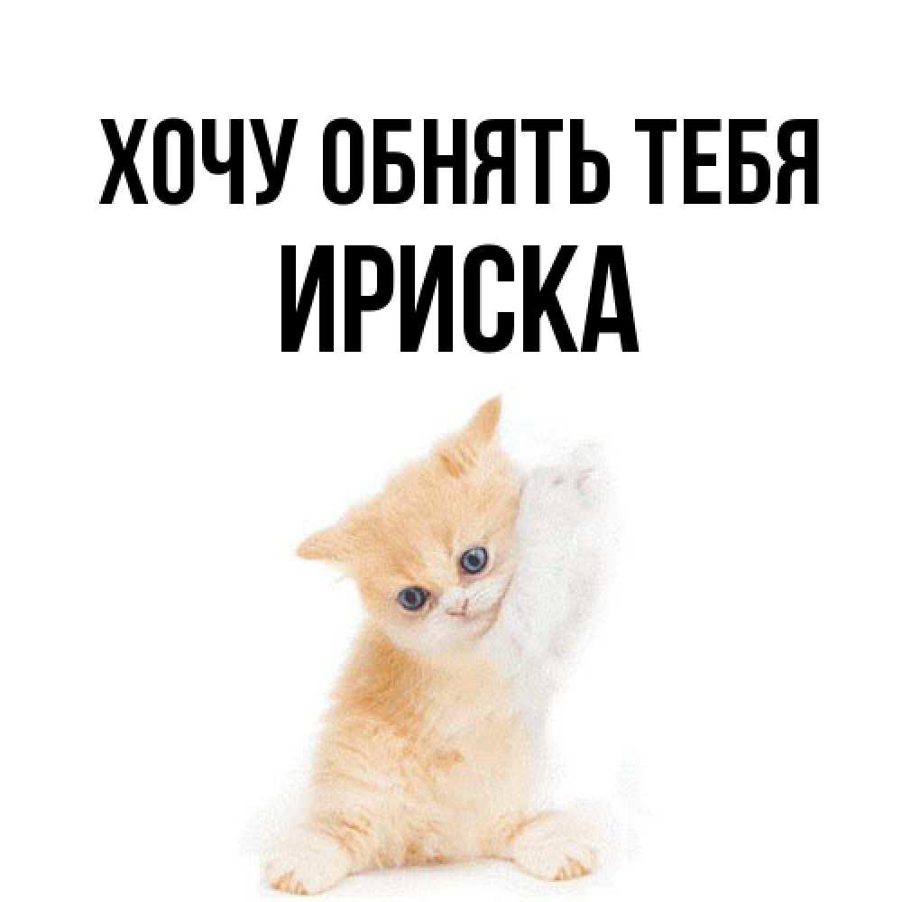 Открытка на каждый день с именем, ириска Хочу обнять тебя я хочу очень скорее обнимаешек Прикольная открытка с пожеланием онлайн скачать бесплатно 