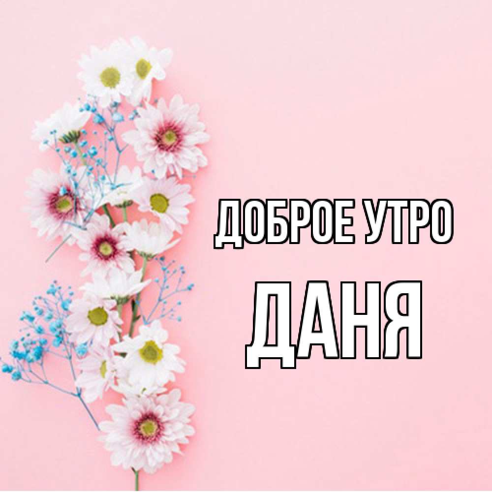 Открытка на каждый день с именем, Даня Доброе утро цветы с подписью Прикольная открытка с пожеланием онлайн скачать бесплатно 