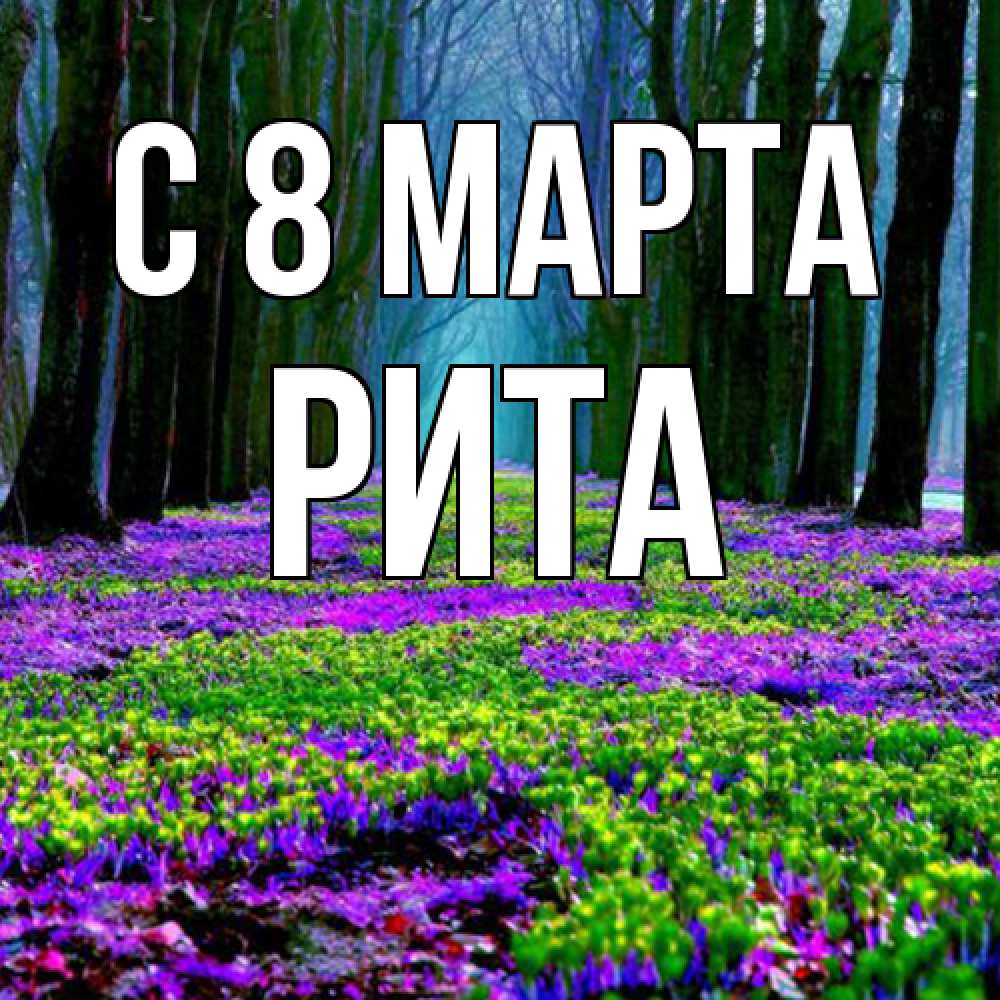 Открытка на каждый день с именем, Рита C 8 МАРТА фиолетовые цветы в лесу 1 Прикольная открытка с пожеланием онлайн скачать бесплатно 