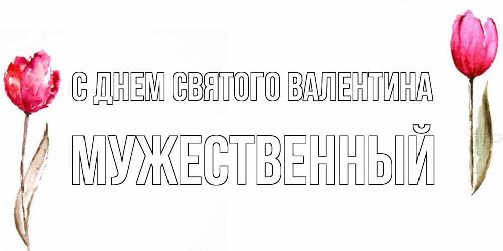 Открытка на каждый день с именем, Мужественный С днем Святого Валентина Открытки на день всех влюбленных с тюльпанами акварелью Прикольная открытка с пожеланием онлайн скачать бесплатно 