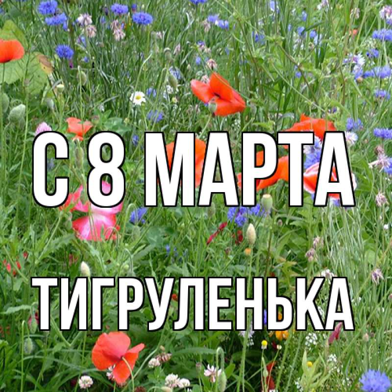 Картинка C 8 МАРТА, Тигpуленька