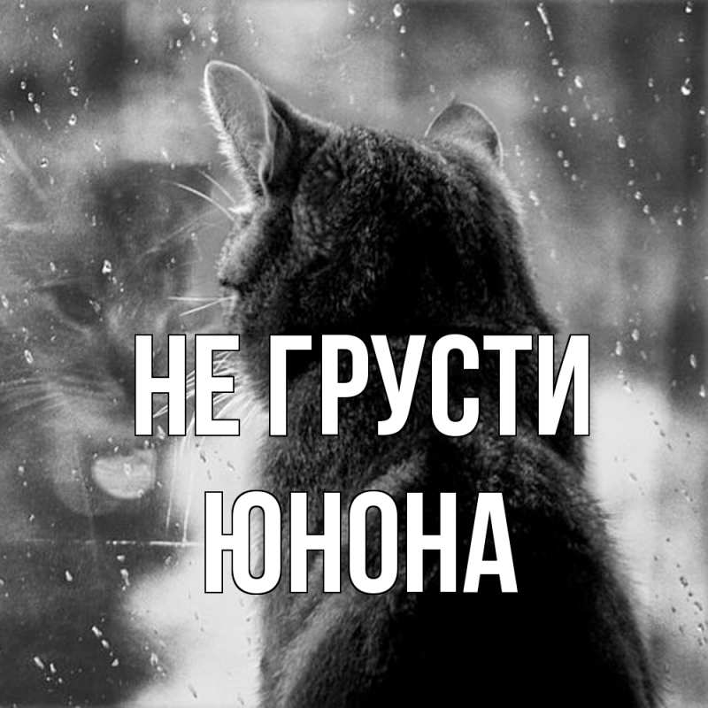 Картинка Не грусти, Юнона