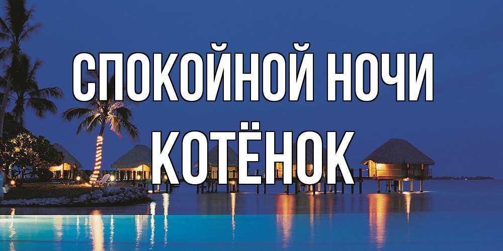 Открытка на каждый день с именем, Котёнок Спокойной ночи морское пожелание сладких снов Прикольная открытка с пожеланием онлайн скачать бесплатно 