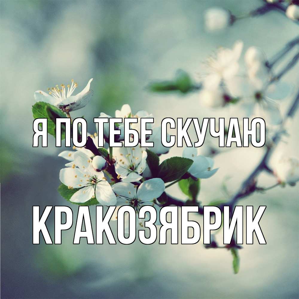 Открытка на каждый день с именем, Кракозябрик Я по тебе скучаю весна Прикольная открытка с пожеланием онлайн скачать бесплатно 