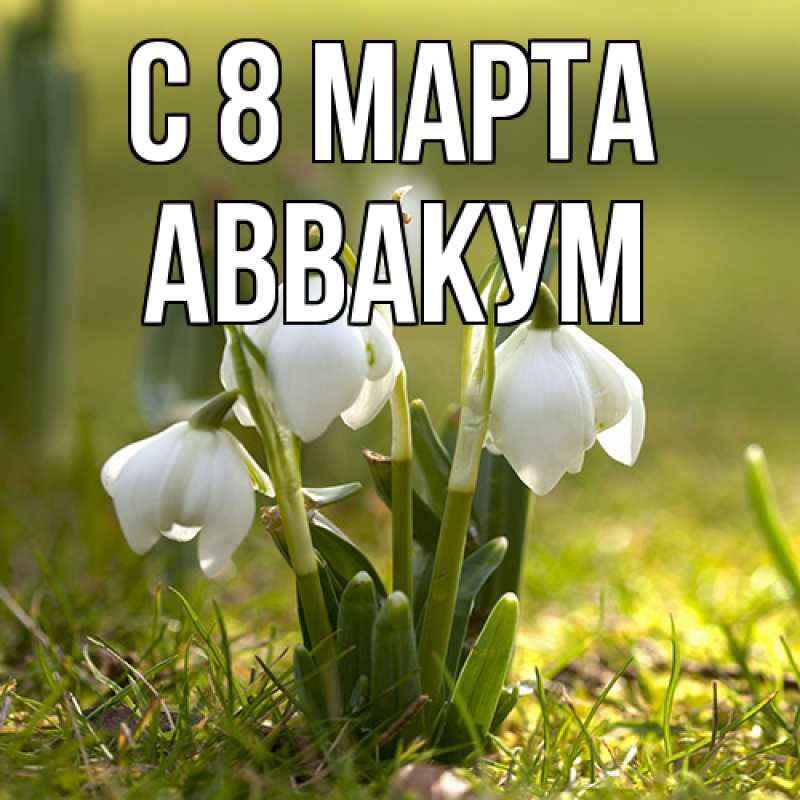 Картинка C 8 МАРТА, Аввакум