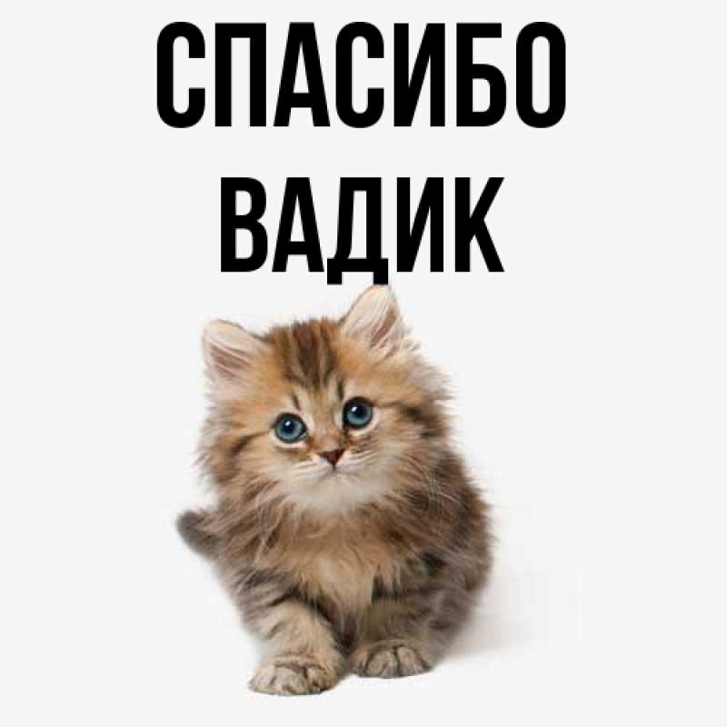 Картинка Спасибо, Вадик