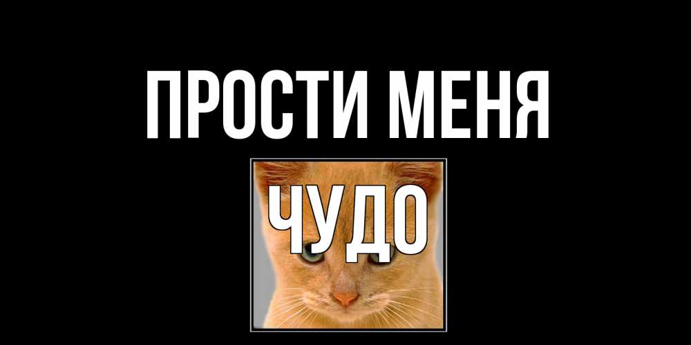 Открытка на каждый день с именем, Чудо Прости меня рыжий грустный кот просит прощения Прикольная открытка с пожеланием онлайн скачать бесплатно 