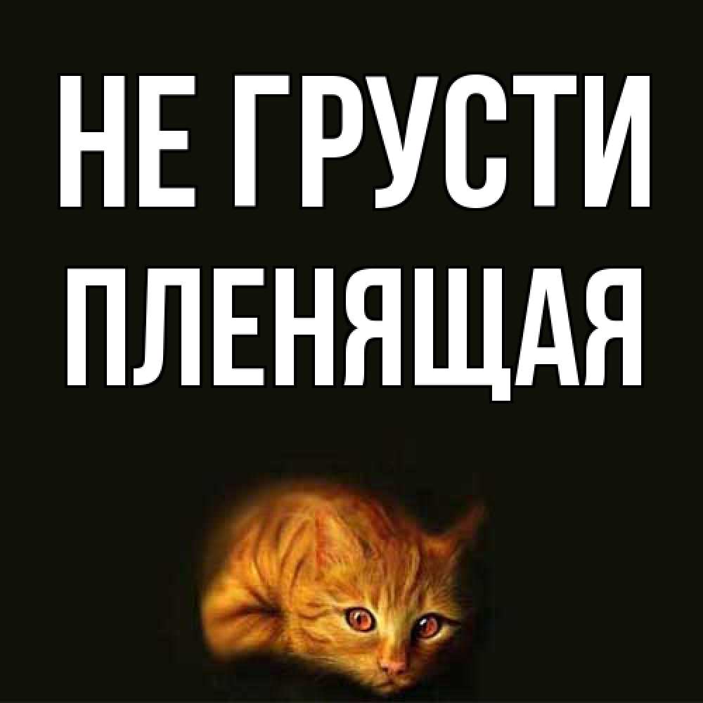 Открытка на каждый день с именем, пленящая Не грусти лежащий кот в темноте Прикольная открытка с пожеланием онлайн скачать бесплатно 