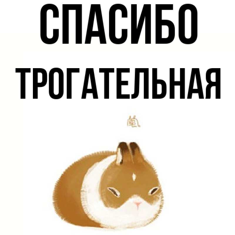 Картинка Спасибо, Трогательная