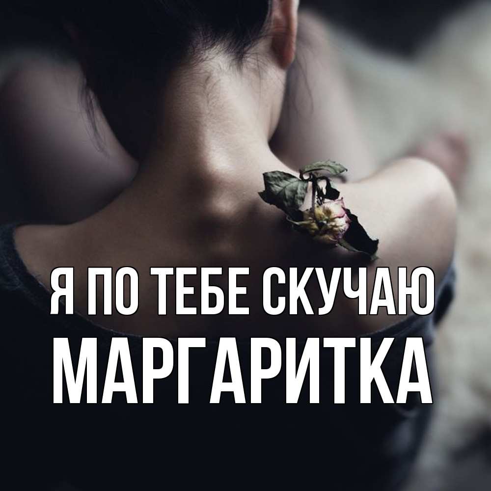 Открытка на каждый день с именем, Маргаритка Я по тебе скучаю засох цветок Прикольная открытка с пожеланием онлайн скачать бесплатно 