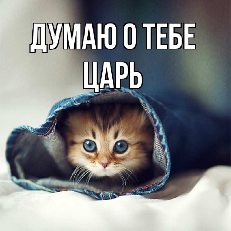 Картинка Думаю о тебе, Царь