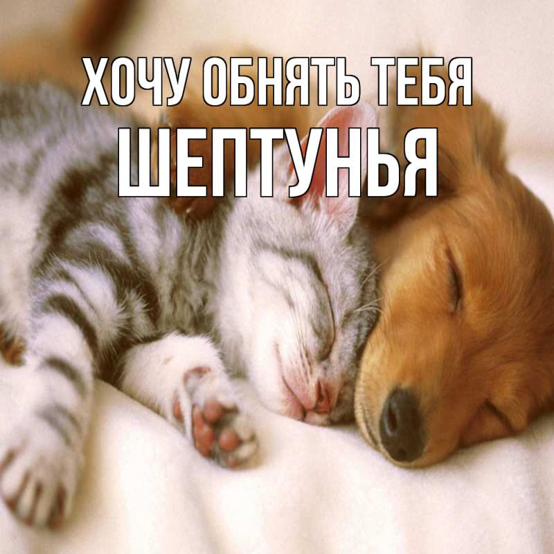 Картинка Хочу обнять тебя, Шептунья