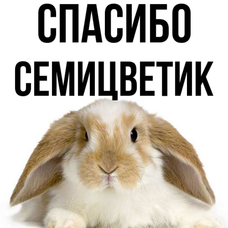 Картинка Спасибо, семицветик