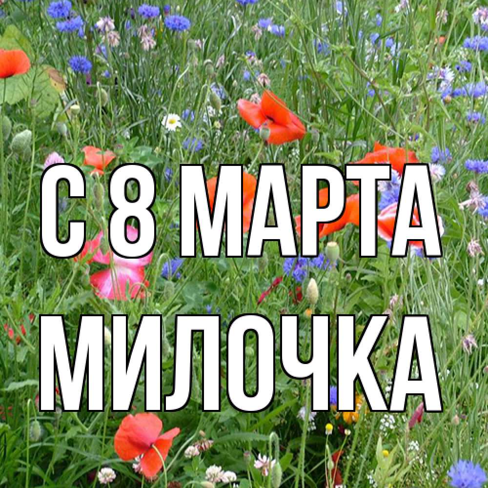 Открытка на каждый день с именем, Милочка C 8 МАРТА международный женский день 4 Прикольная открытка с пожеланием онлайн скачать бесплатно 