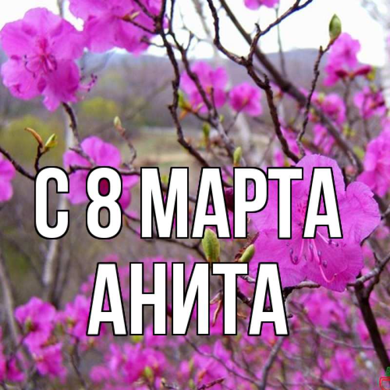 Картинка C 8 МАРТА, Анита