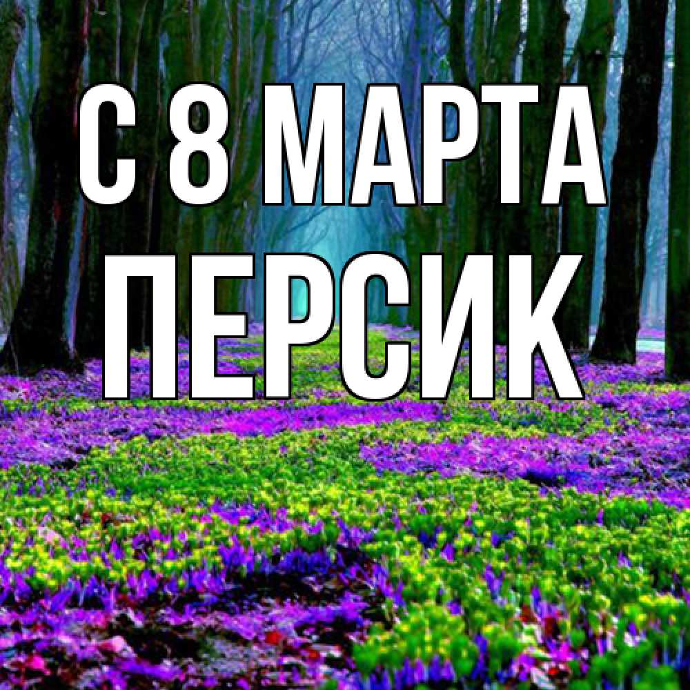 Открытка на каждый день с именем, Персик C 8 МАРТА фиолетовые цветы в лесу 1 Прикольная открытка с пожеланием онлайн скачать бесплатно 
