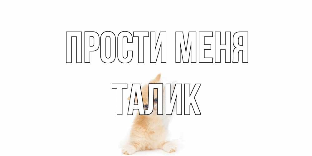 Открытка на каждый день с именем, Талик Прости меня кот Прикольная открытка с пожеланием онлайн скачать бесплатно 