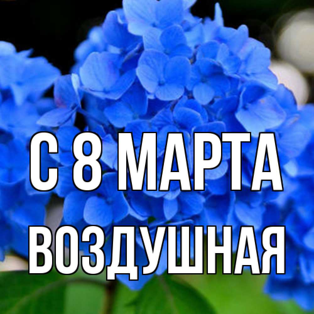 Открытка на каждый день с именем, воздушная C 8 МАРТА синие цветы Прикольная открытка с пожеланием онлайн скачать бесплатно 