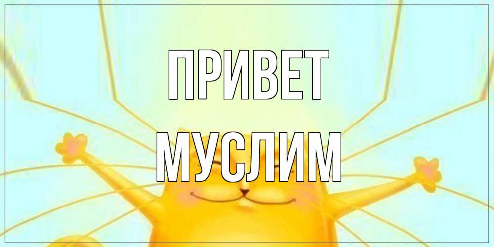 Открытка на каждый день с именем, Муслим Привет кот Прикольная открытка с пожеланием онлайн скачать бесплатно 