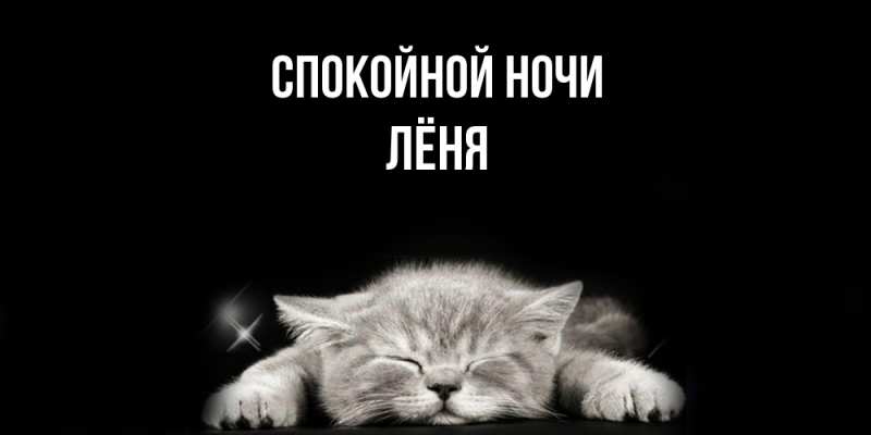 Картинка Спокойной ночи, Лёня