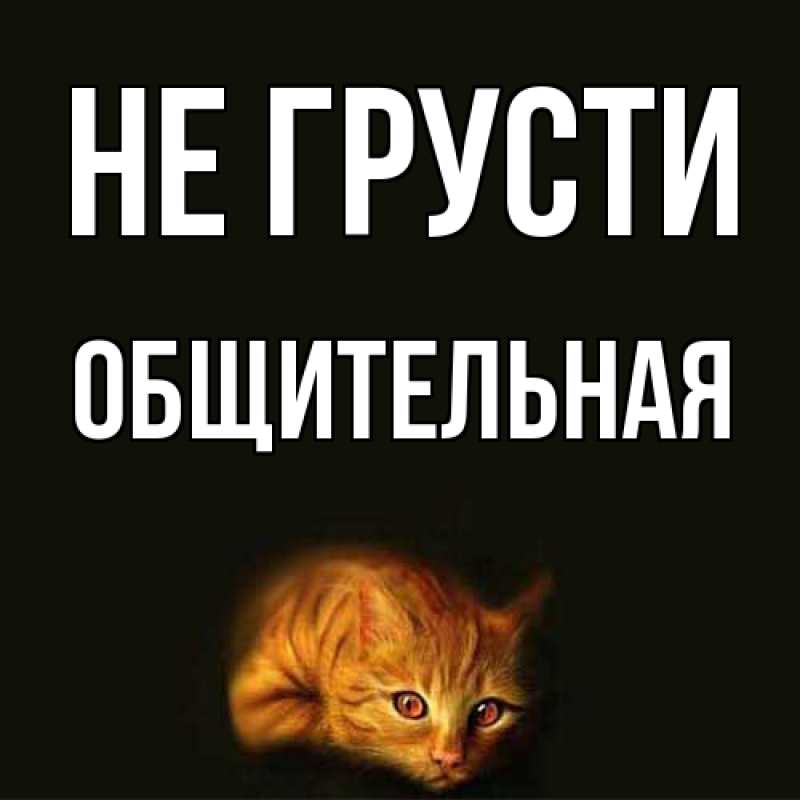 Картинка Не грусти, Общительная