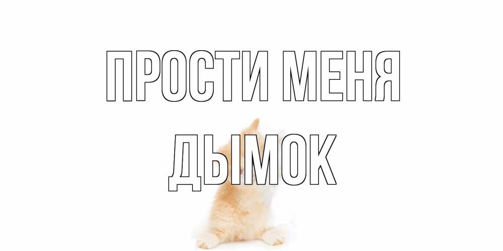 Открытка на каждый день с именем, Дымок Прости меня кот Прикольная открытка с пожеланием онлайн скачать бесплатно 