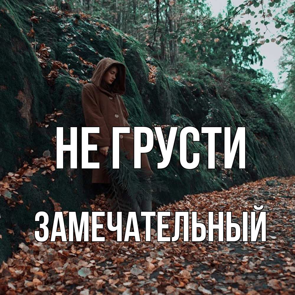 Открытка на каждый день с именем, Замечательный Не грусти осенний лес Прикольная открытка с пожеланием онлайн скачать бесплатно 