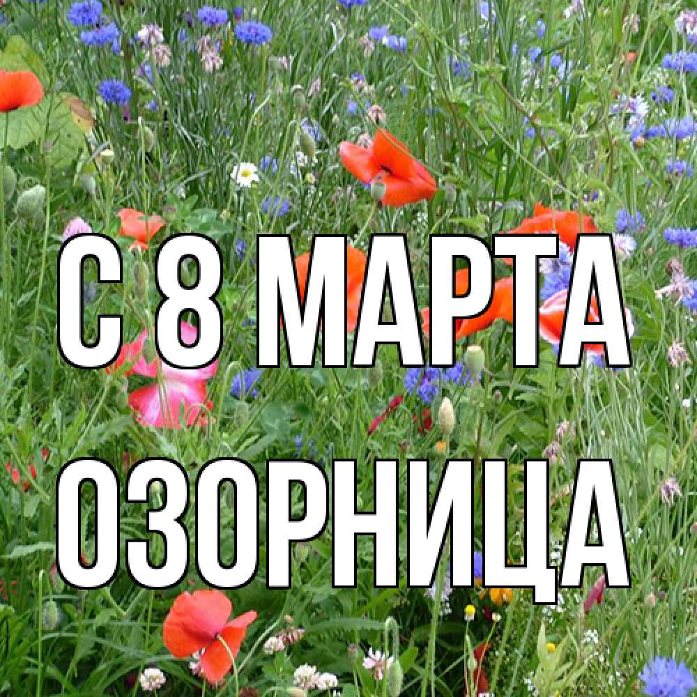Открытка на каждый день с именем, Озорница C 8 МАРТА международный женский день 4 Прикольная открытка с пожеланием онлайн скачать бесплатно 