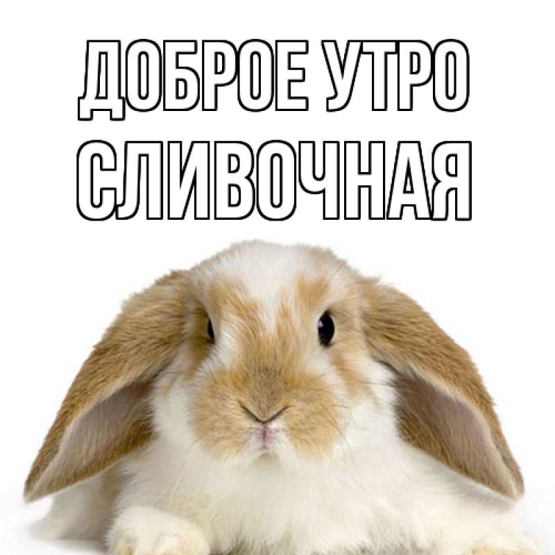 Картинка Доброе утро, Сливочная