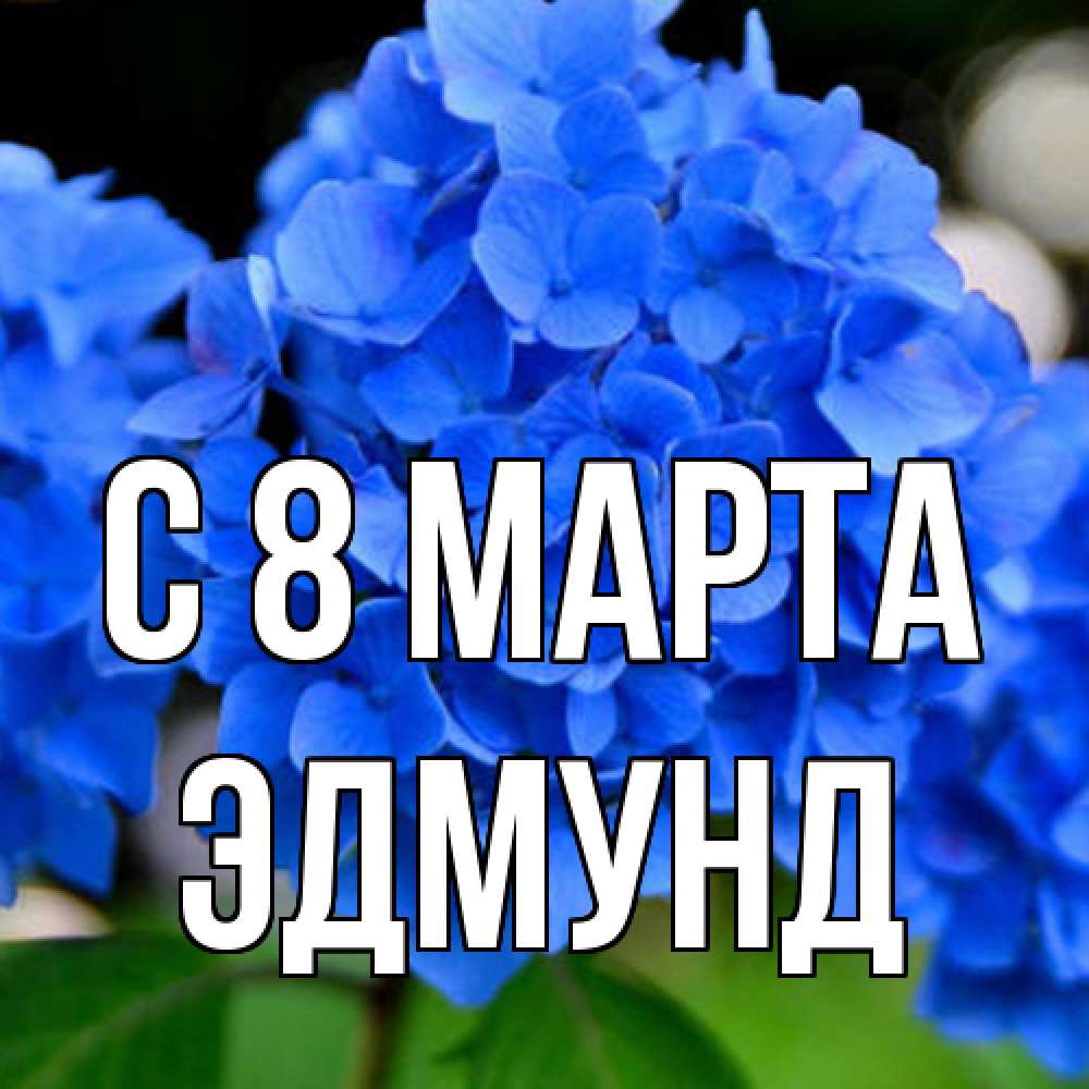 Открытка на каждый день с именем, Эдмунд C 8 МАРТА синие цветы Прикольная открытка с пожеланием онлайн скачать бесплатно 