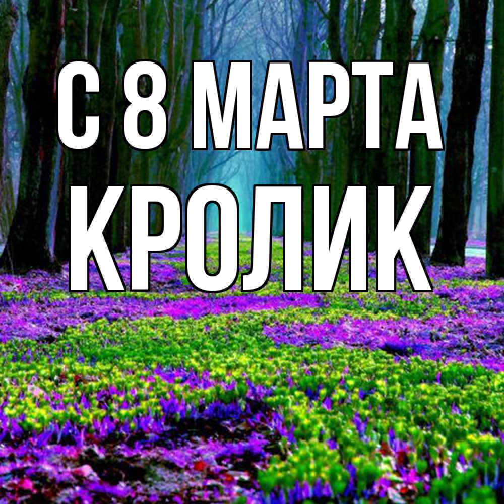 Открытка на каждый день с именем, кролик C 8 МАРТА фиолетовые цветы в лесу 1 Прикольная открытка с пожеланием онлайн скачать бесплатно 