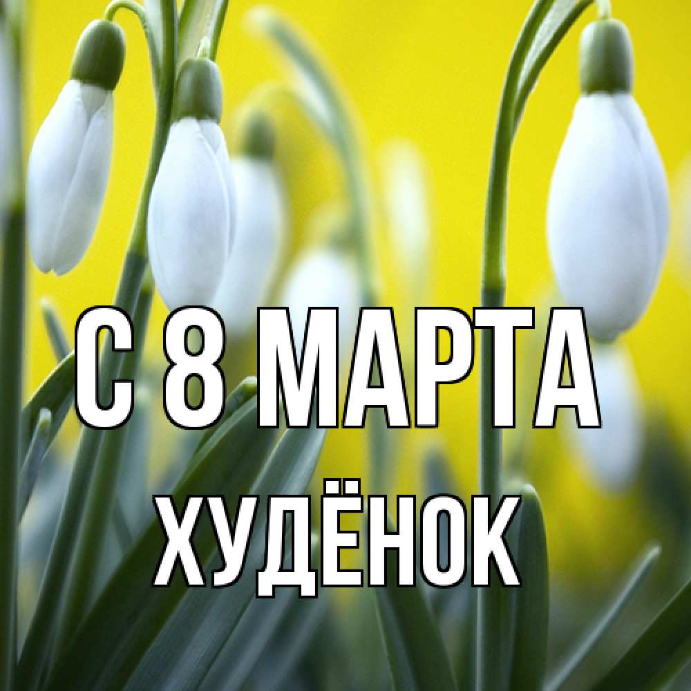 Открытка на каждый день с именем, худёнок C 8 МАРТА весенние цветы Прикольная открытка с пожеланием онлайн скачать бесплатно 